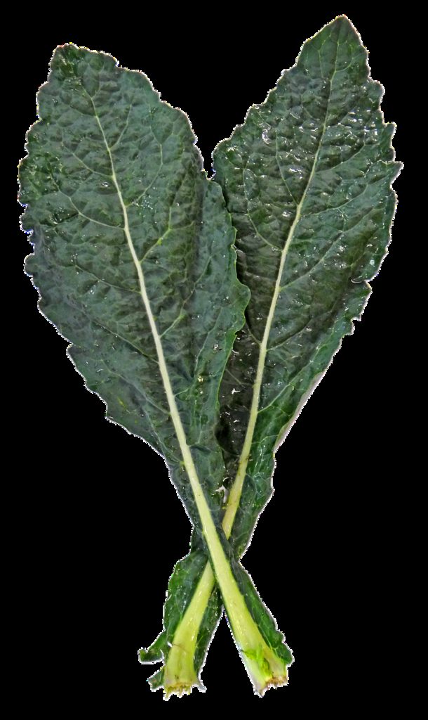 kale, lacinato, lacinato kale