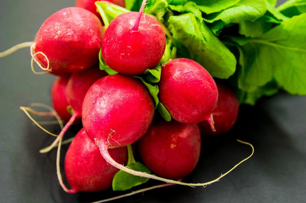 radishes, vegetables, food