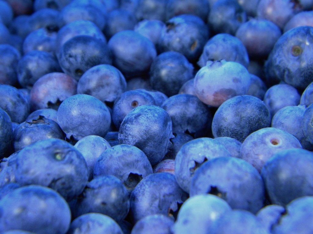 blueberries, blueberry, fruit