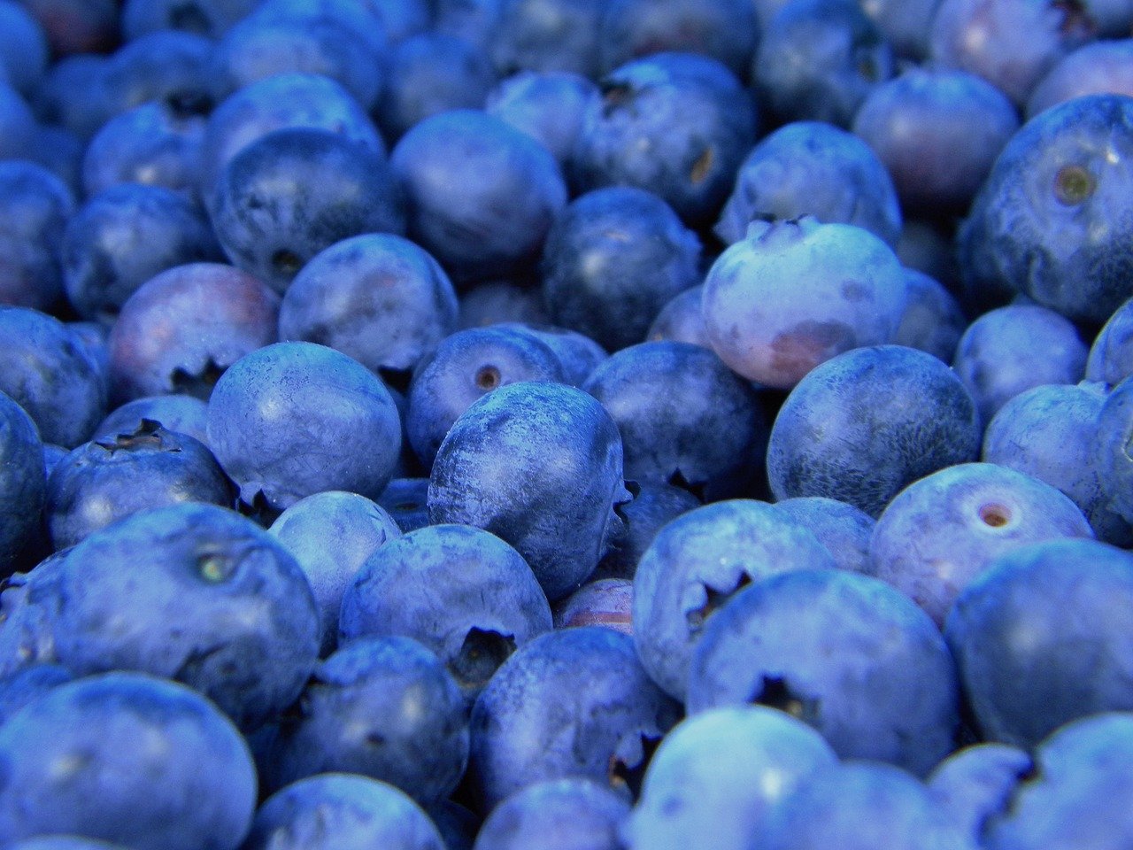 Phytonutrients Part 6 The Colors Blue And Purple Never Say Never Wellness 1072