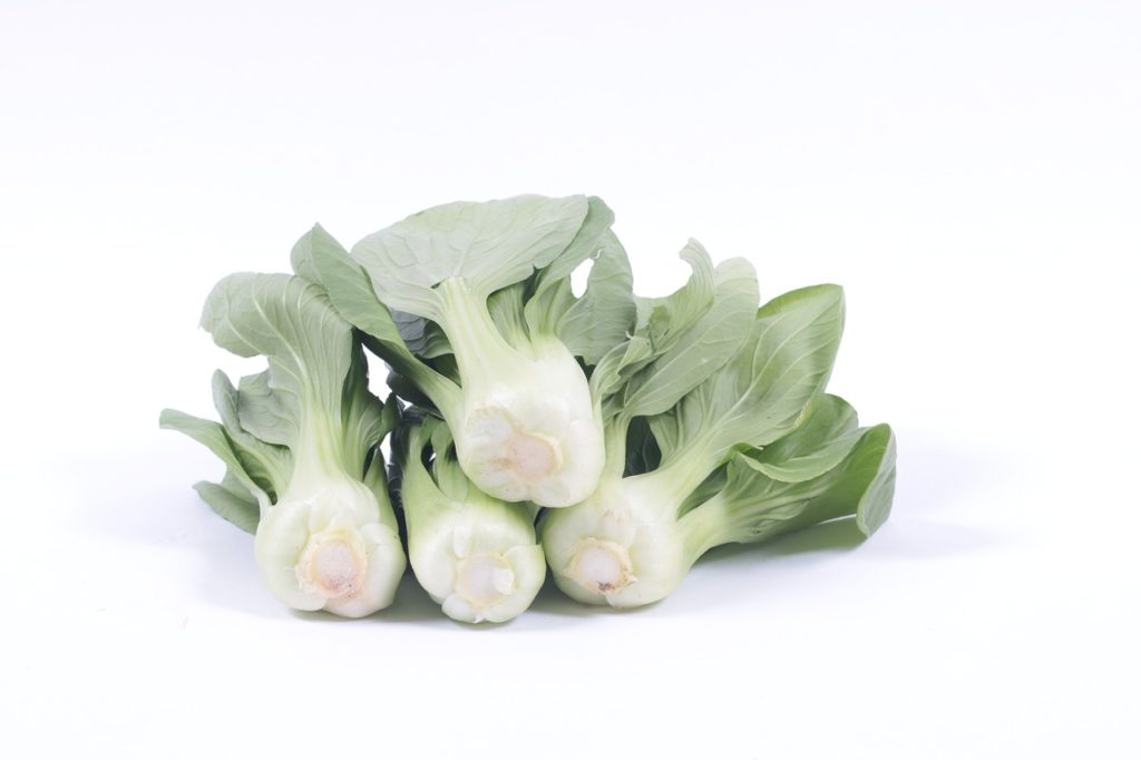 bok choy, vegetable, well-being