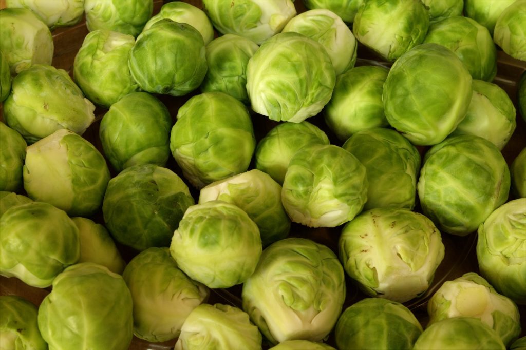 brussels sprouts, vegetables, rosenkoehlchen