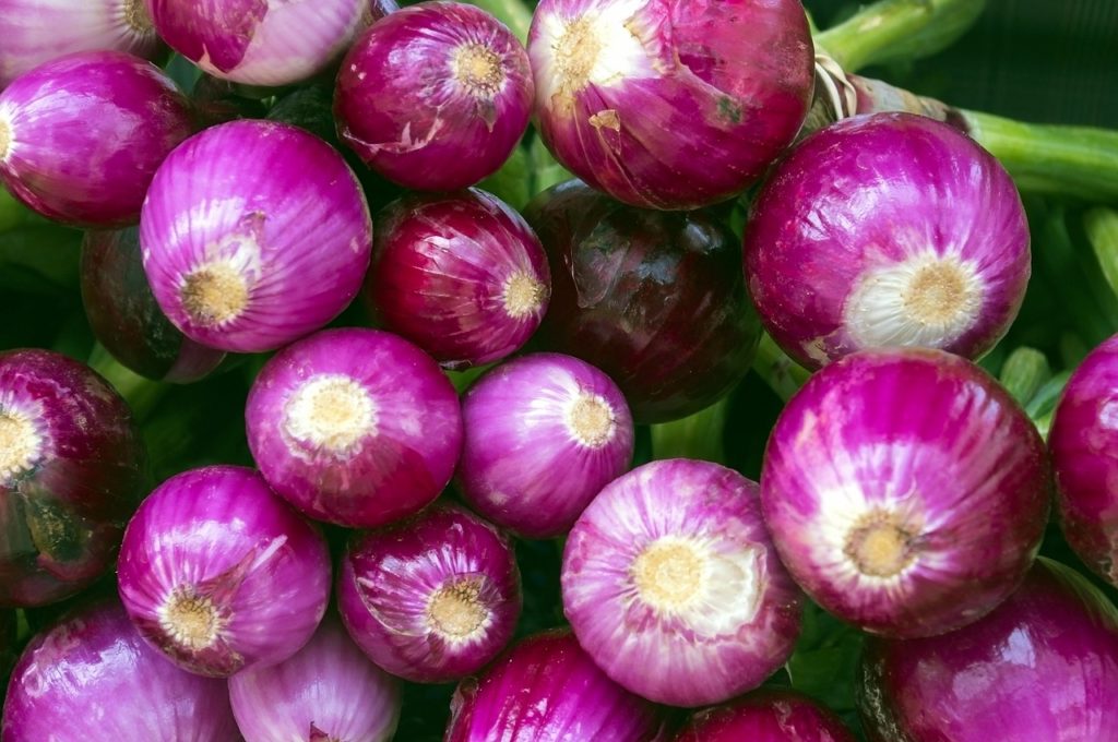 farmers market purple onions, food, onion